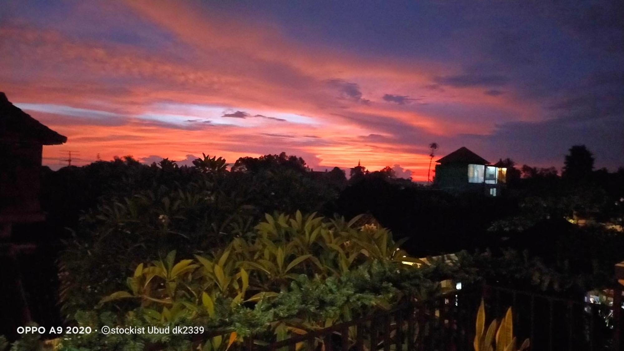 Danu House Ubud Zewnętrze zdjęcie