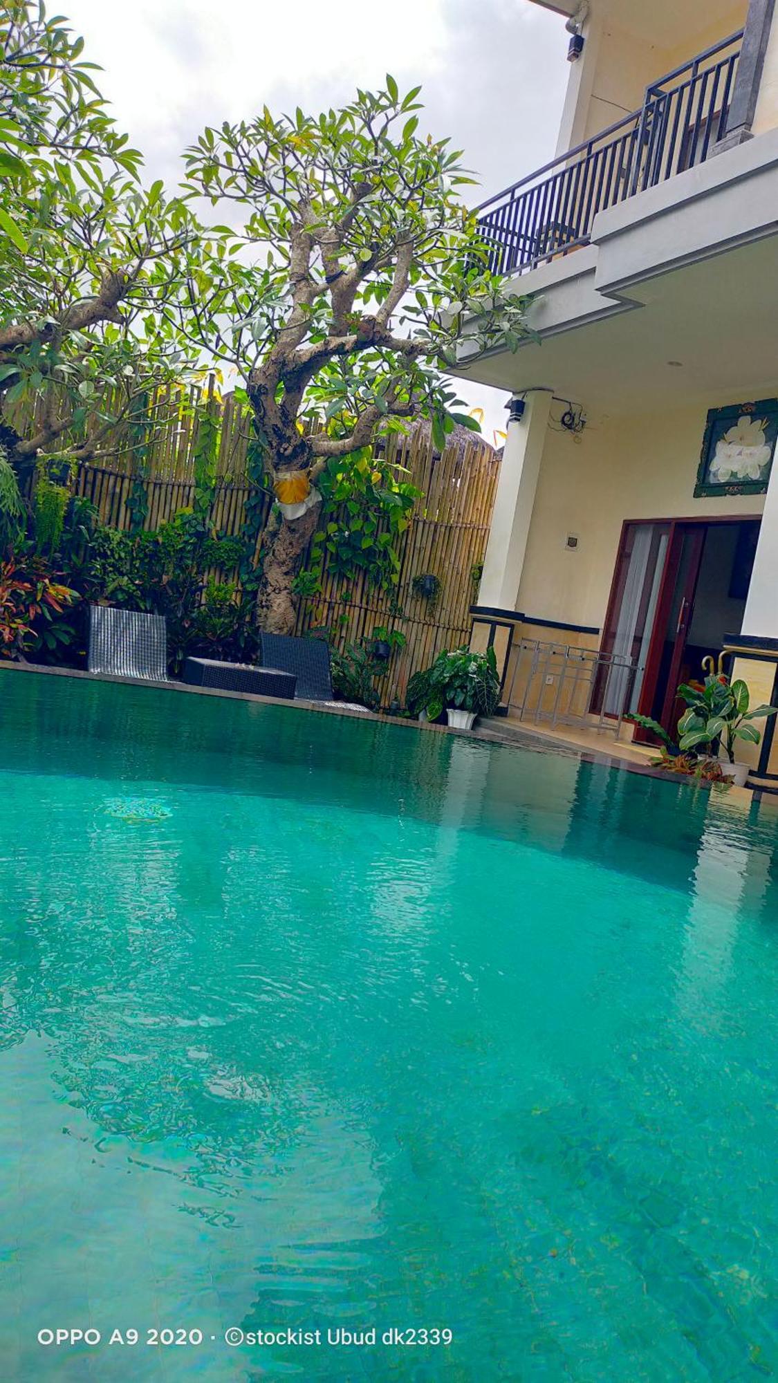 Danu House Ubud Zewnętrze zdjęcie